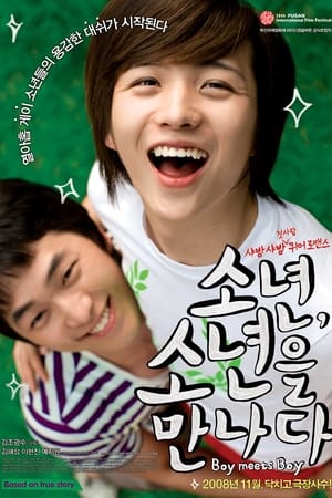 Poster Boy Meets Boy (2008)