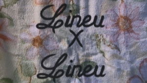 A Grande Família: 2×8