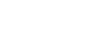 El Asombroso Circo Digital — Logos 7