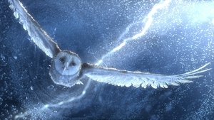 Legend of the Guardians: The Owls of Ga’Hoole