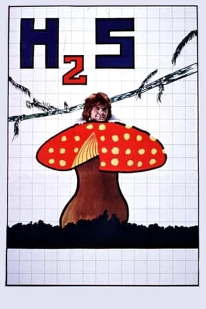 Poster H2S (1969)