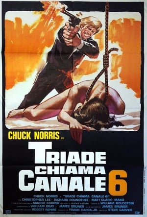 Poster Triade chiama canale 6 1981
