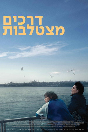 Crossing 44