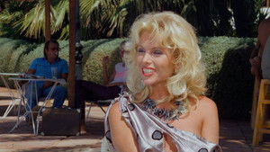 Sunshine Reggae on Ibiza