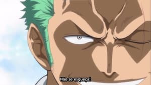 S16E692 Un combat enchaîné contre Pica. L'attaque dévastatrice de Zoro