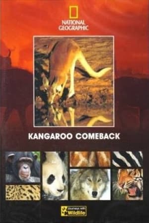 Poster Kangaroo Comeback 1998