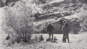 The Battle at Apache Pass