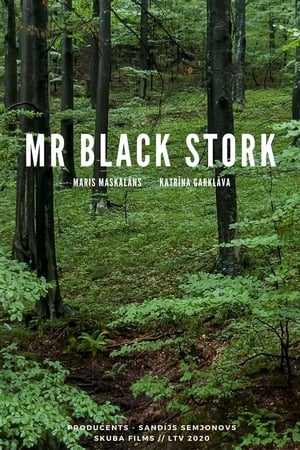 Mr Black Stork film complet