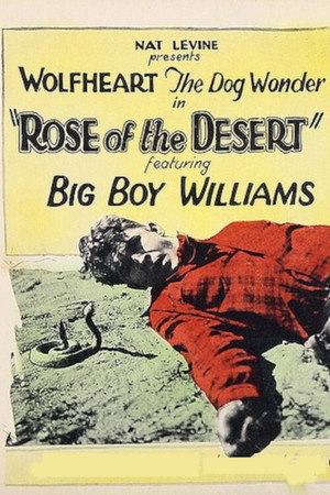 Rose of the Desert 2