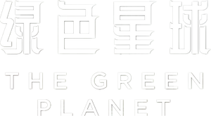 Planeta verde — Logos 6