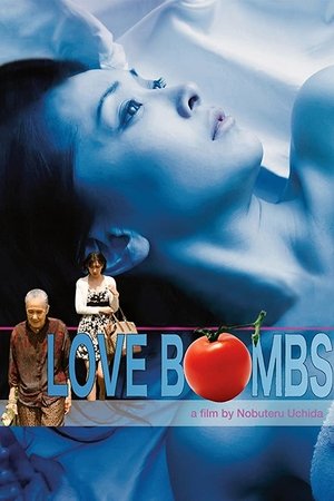 Poster Love Bombs 2013