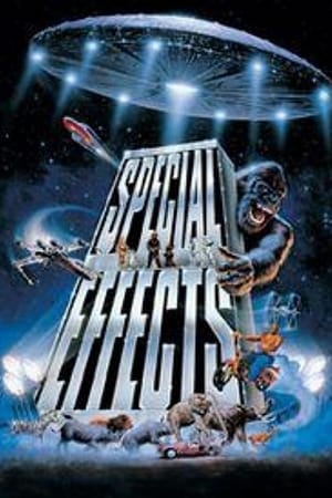 Poster Special Effects: Anything Can Happen (1996)