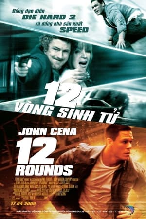 Poster 12 Vòng Sinh Tử 2009