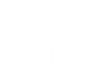The Wrong Guys