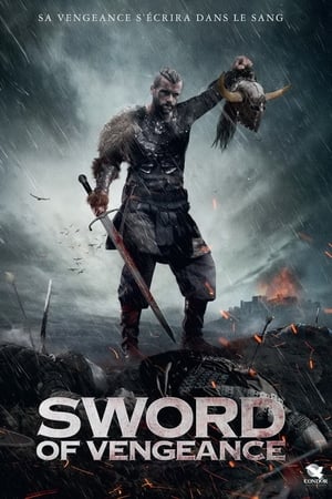 Poster 复仇之剑 2015