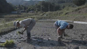 Nata the great peng geunyoung