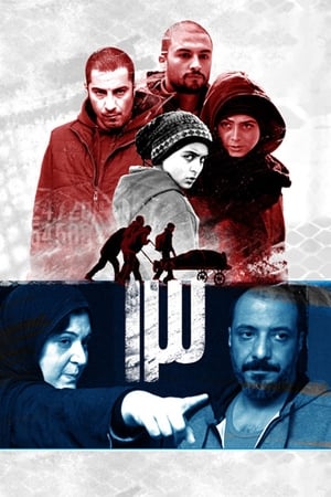 Poster 13 (2014)