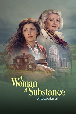 A Woman of Substance