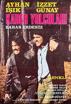 Image Kader Yolcuları