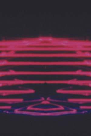 Fresh Honey from the Lion’s Mouth