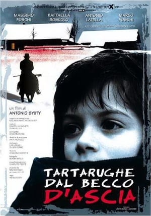 Poster Tartarughe dal becco d'ascia (2000)