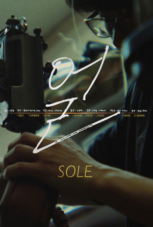 Sole (2026)