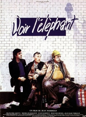 Image Voir l'éléphant