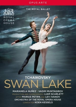Poster Swan Lake 2018