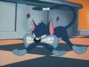 P'tit Minet chat de Garde
