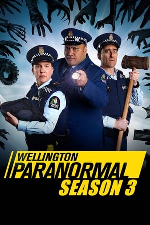 Wellington Paranormal: Season 3