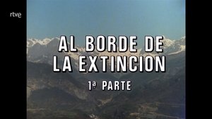 Episode 84