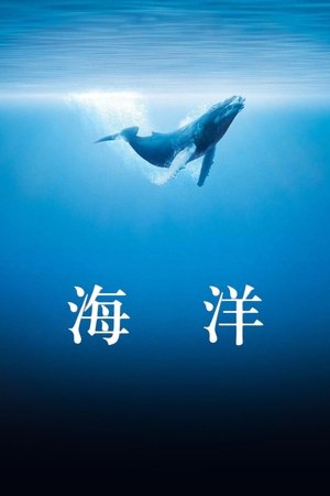 Image 海洋