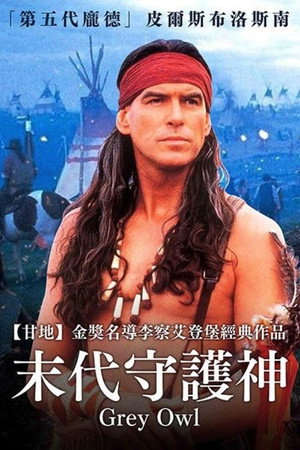 灰色夜枭