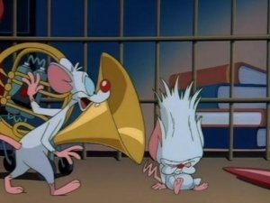 Animaniacs: 1×39