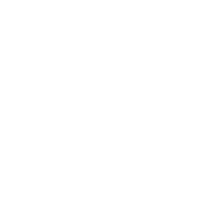 Sem Lenço, Sem Documento — Logos 1