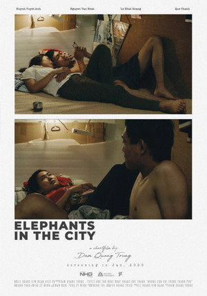 Elephants In The City