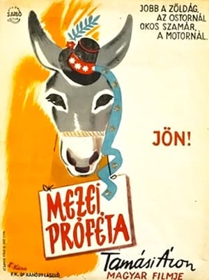 Poster The Prophet of the Fields (1947)