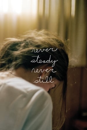 Poster Never Steady, Never Still (2017)