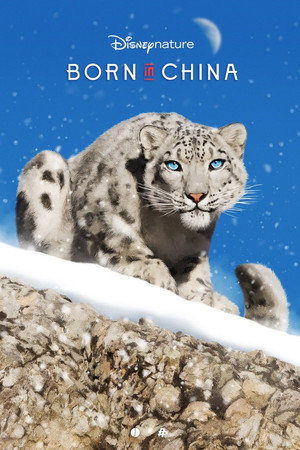 Постер фильма «Рождённые в Китае (2016)» — (21 из 47)