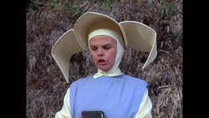 The Flying Nun A Young Man with a Cornette