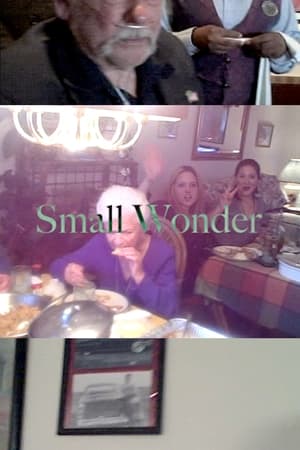 Small Wonder film complet