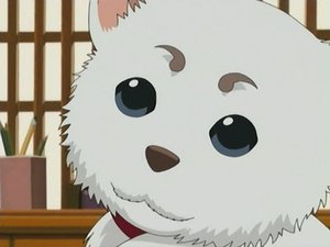 Gintama: 1×10