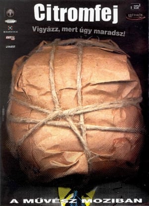 Poster Citromfej 2001