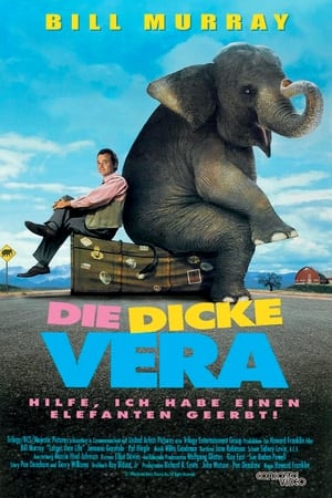 Poster Die dicke Vera 1996