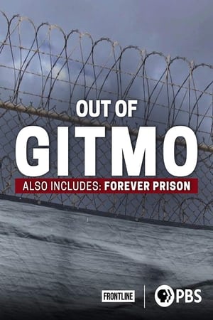 Image Out of Gitmo