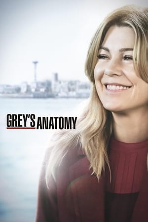 Grey’s Anatomy: 15×12