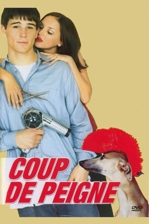 Poster Coup de peigne 2001