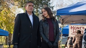 Vigilados, Person of Interest Season 4 Episode 13