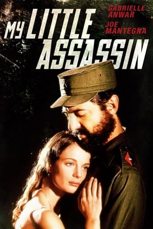 Poster My Little Assassin 1999