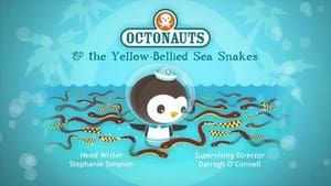 Octonauts Octonauts and the Yellow Bellied Sea Snakes